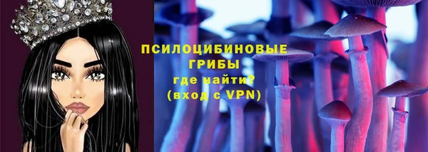 ECSTASY Михайлов