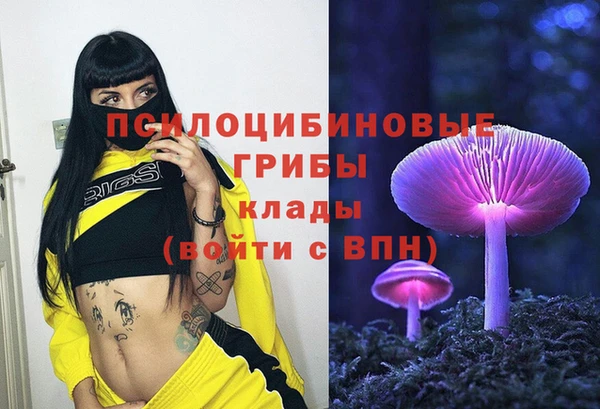 винт Михайловка