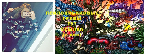 винт Михайловка