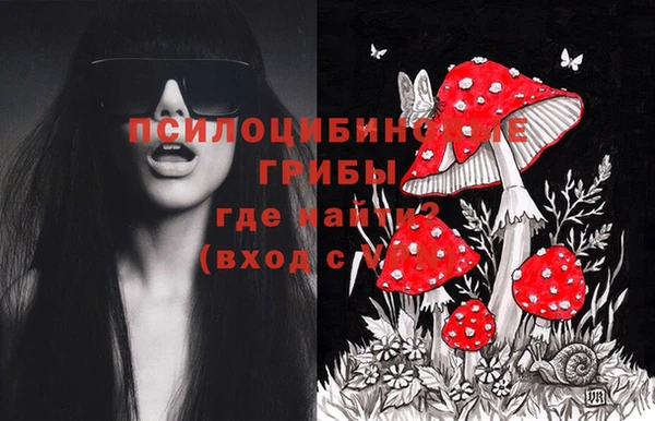 соль курить ск Михайловск
