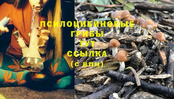 соль курить ск Михайловск